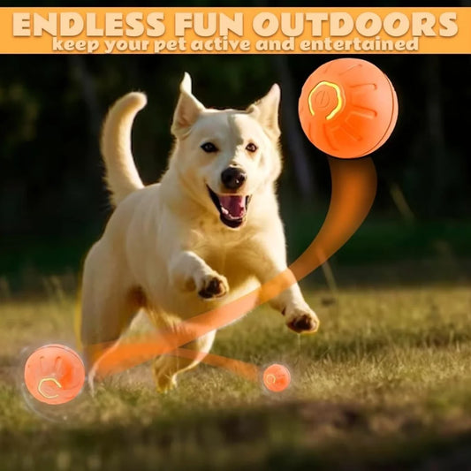 Smart Bounce Pet Ball