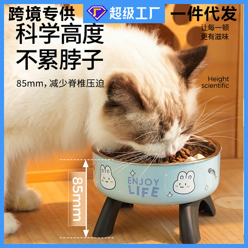 Elevated Comfort Pet Bowl