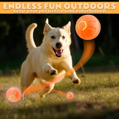 Smart Bounce Pet Ball