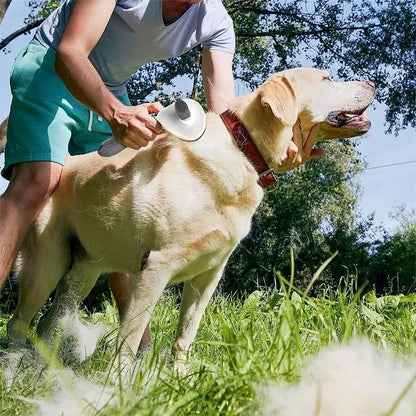 Pet Hair Removal Brush