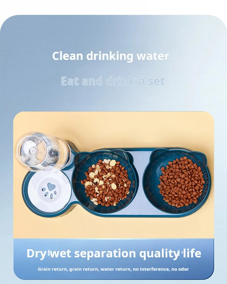 3-in-1 Cat Feeding Bowl