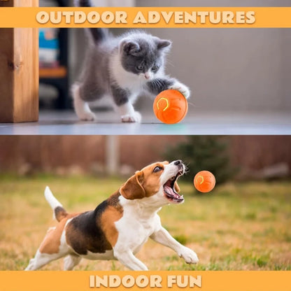 Smart Bounce Pet Ball