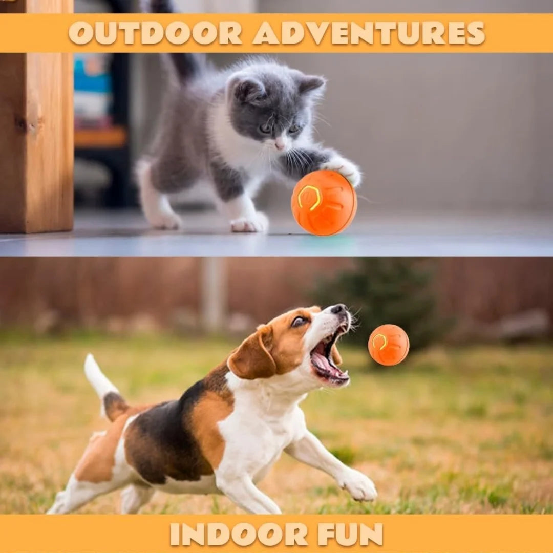 Smart Bounce Pet Ball