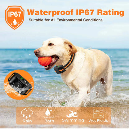 Smart Dog Training Collar