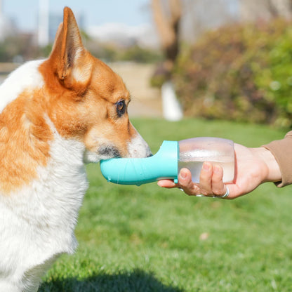Paw Sip Travel Bottle
