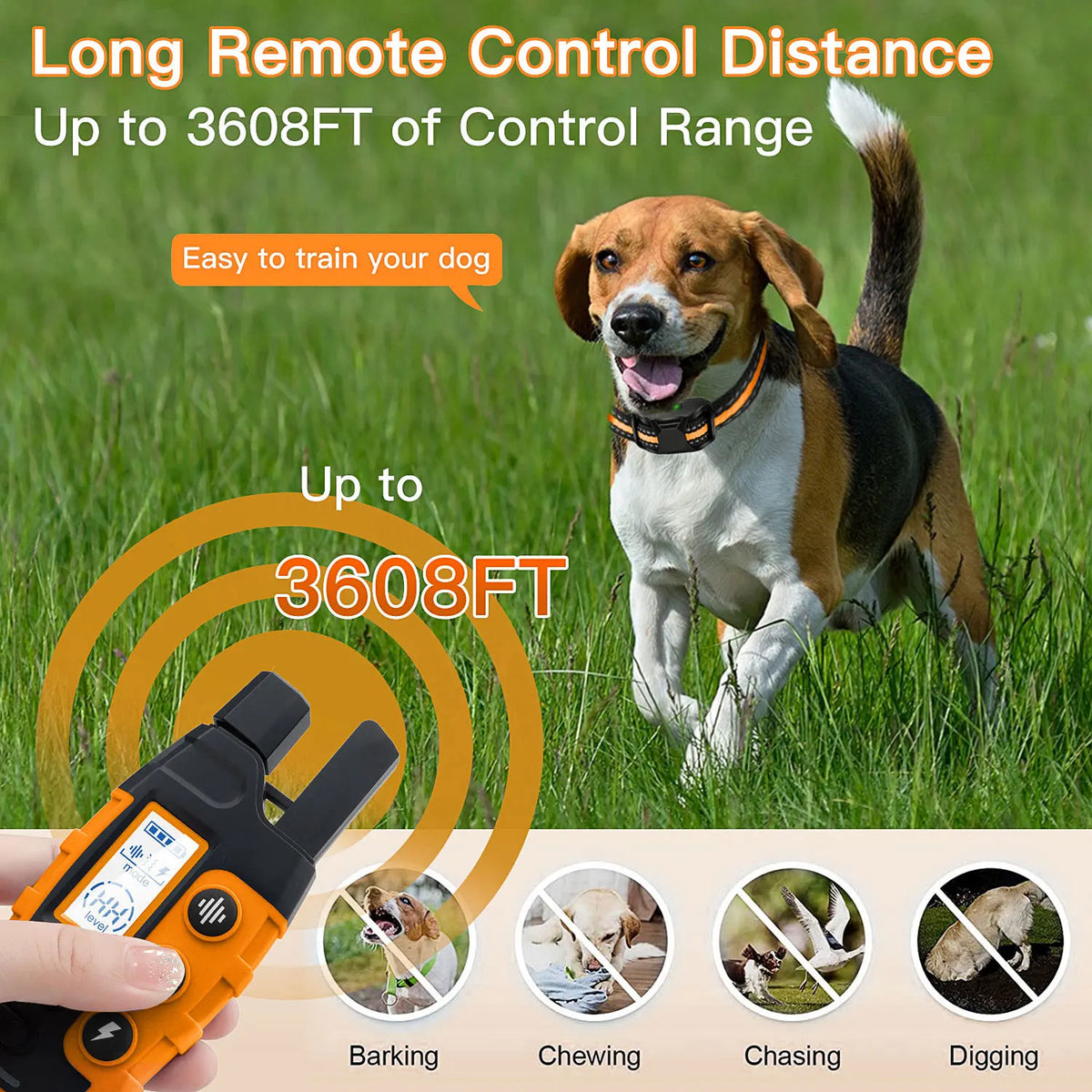 Smart Dog Training Collar