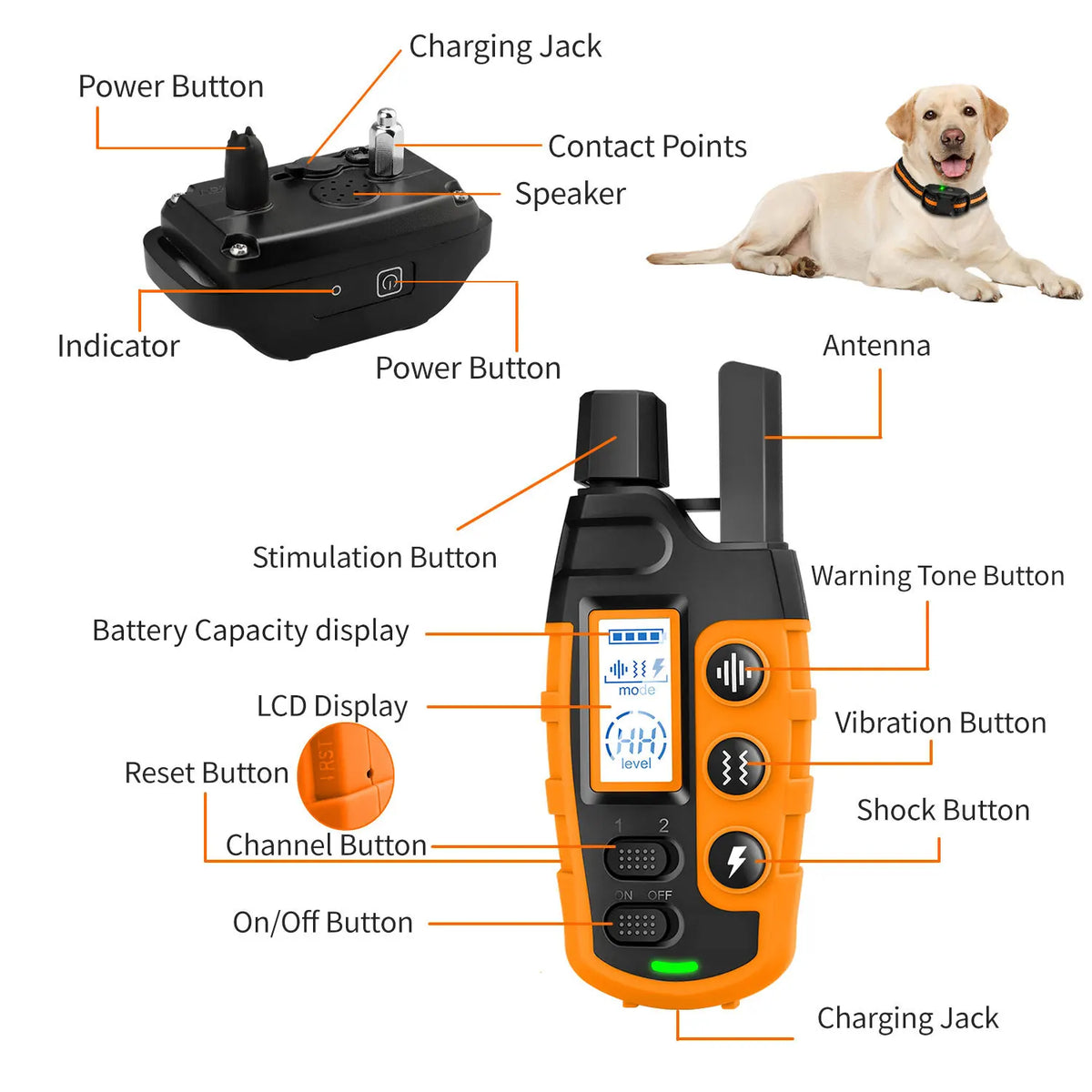 Smart Dog Training Collar