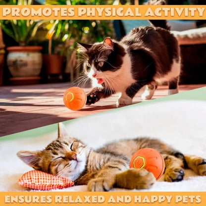 Smart Bounce Pet Ball