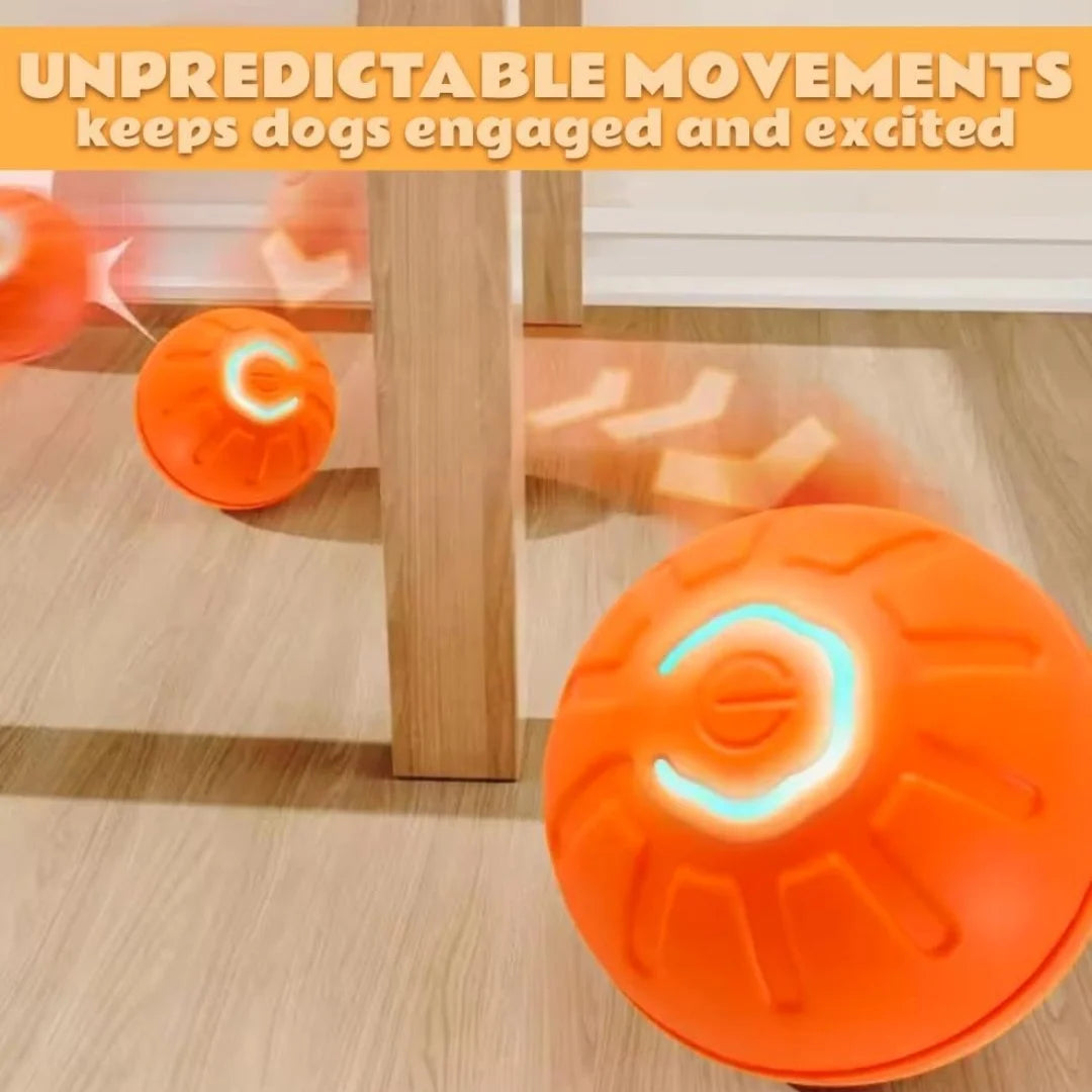 Smart Bounce Pet Ball