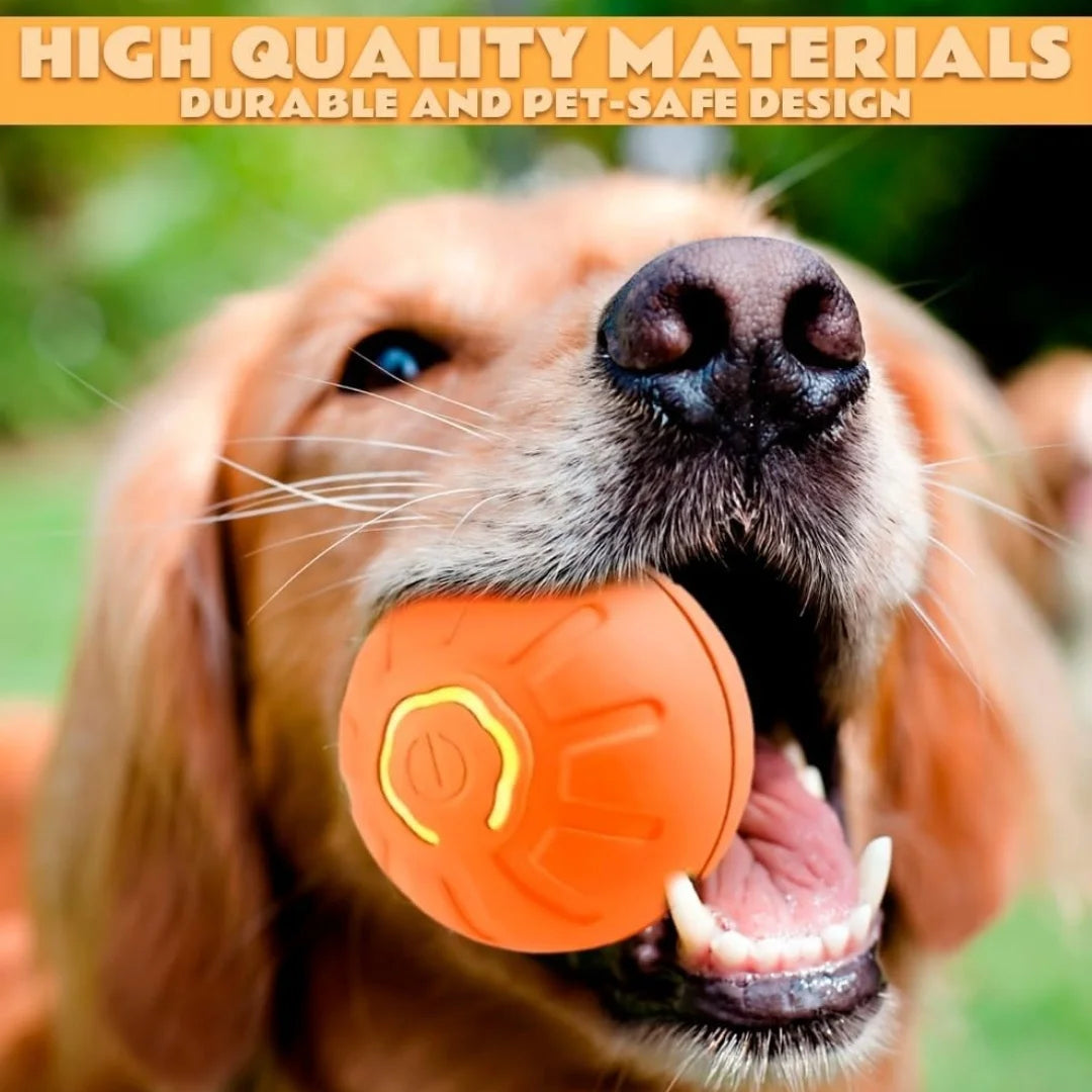 Smart Bounce Pet Ball