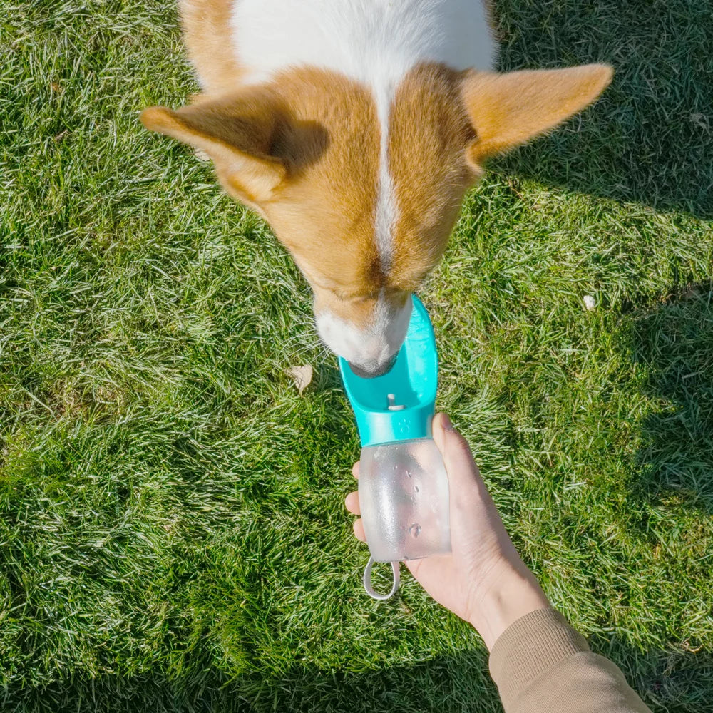 Paw Sip Travel Bottle